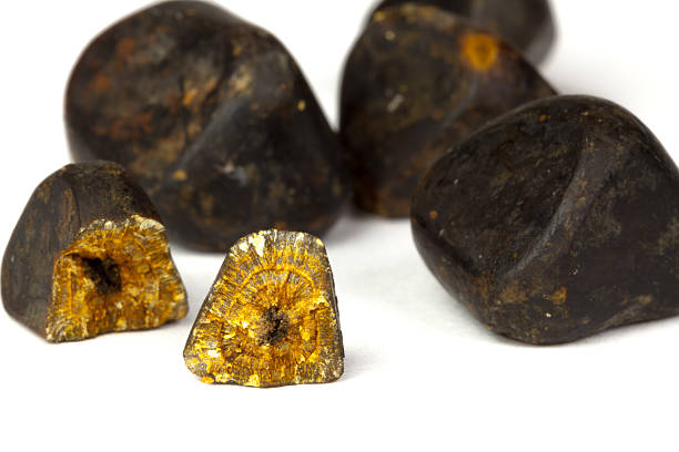 Makanan Penghancur Batu Empedu 7 Pilihan Sehat untuk Mencegah Masalah Empedu